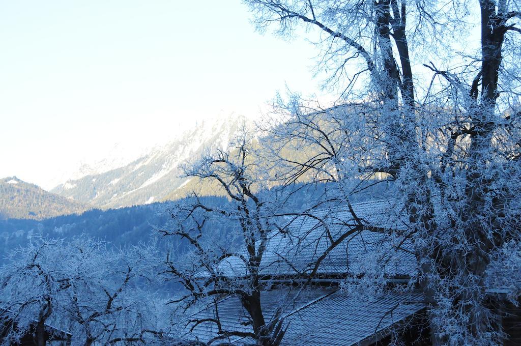 Haus Herz 部屋 写真